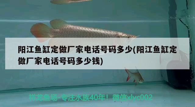 阳江鱼缸定做厂家电话号码多少(阳江鱼缸定做厂家电话号码多少钱)