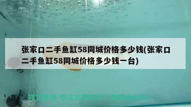 张家口二手鱼缸58同城价格多少钱(张家口二手鱼缸58同城价格多少钱一台) 翡翠凤凰鱼