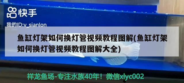 鱼缸灯架如何换灯管视频教程图解(鱼缸灯架如何换灯管视频教程图解大全)