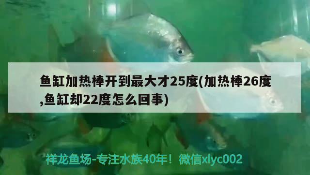 鱼缸加热棒开到最大才25度(加热棒26度,鱼缸却22度怎么回事)