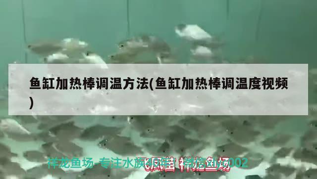 鱼缸加热棒调温方法(鱼缸加热棒调温度视频) 广州水族批发市场