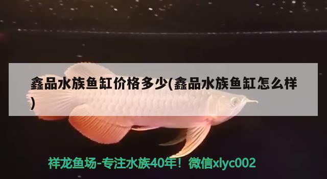 鑫品水族鱼缸价格多少(鑫品水族鱼缸怎么样)