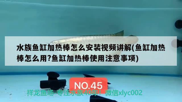 水族鱼缸加热棒怎么安装视频讲解(鱼缸加热棒怎么用?鱼缸加热棒使用注意事项) 广州水族器材滤材批发市场