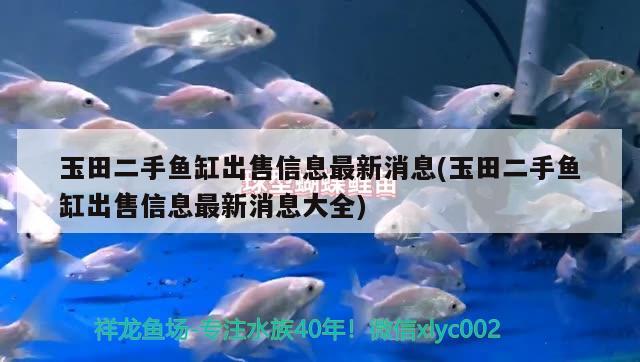 玉田二手鱼缸出售信息最新消息(玉田二手鱼缸出售信息最新消息大全) BD魟鱼