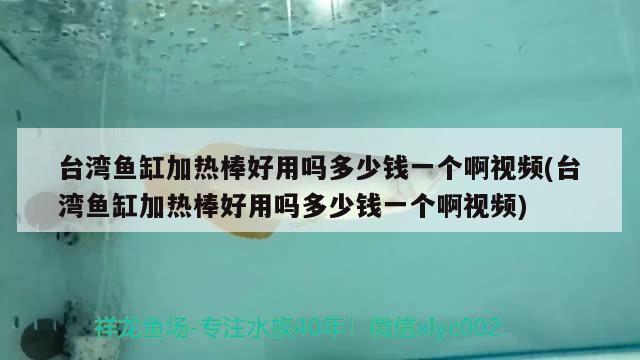 台湾鱼缸加热棒好用吗多少钱一个啊视频(台湾鱼缸加热棒好用吗多少钱一个啊视频) 白子银版鱼