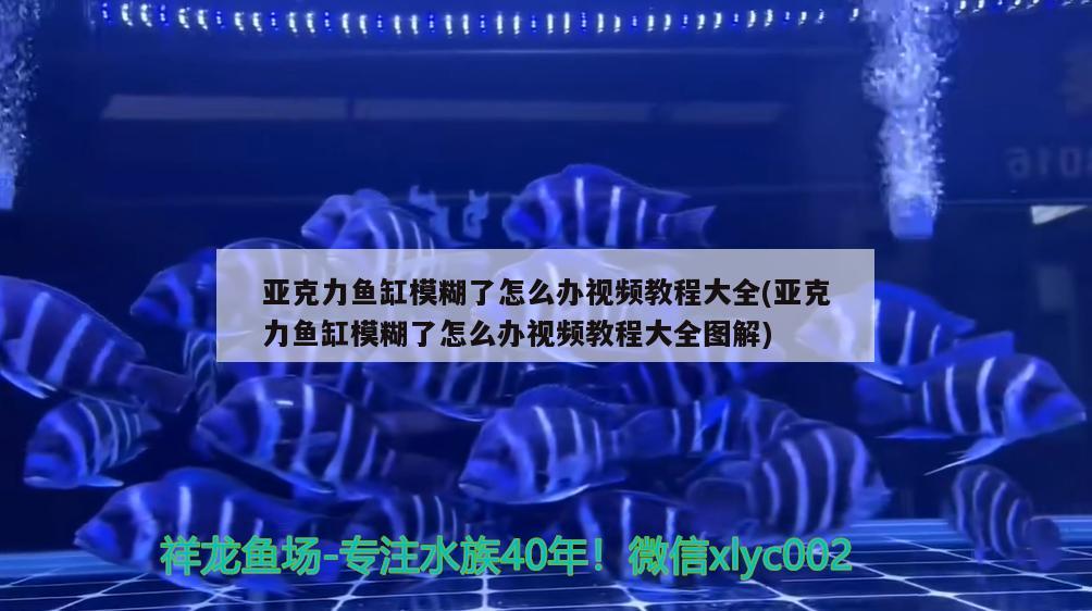 亚克力鱼缸模糊了怎么办视频教程大全(亚克力鱼缸模糊了怎么办视频教程大全图解) 虎鱼百科