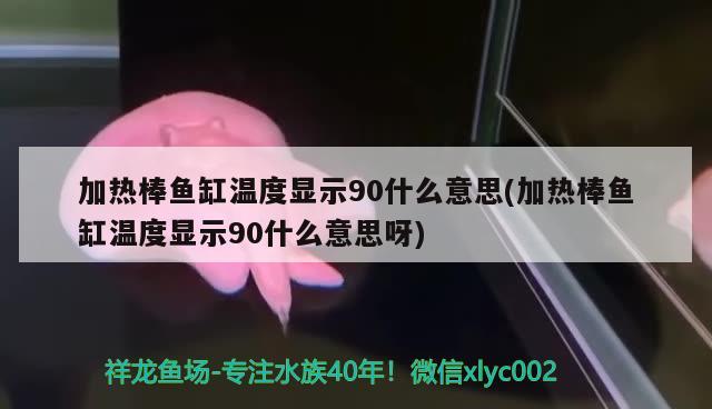 加热棒鱼缸温度显示90什么意思(加热棒鱼缸温度显示90什么意思呀)