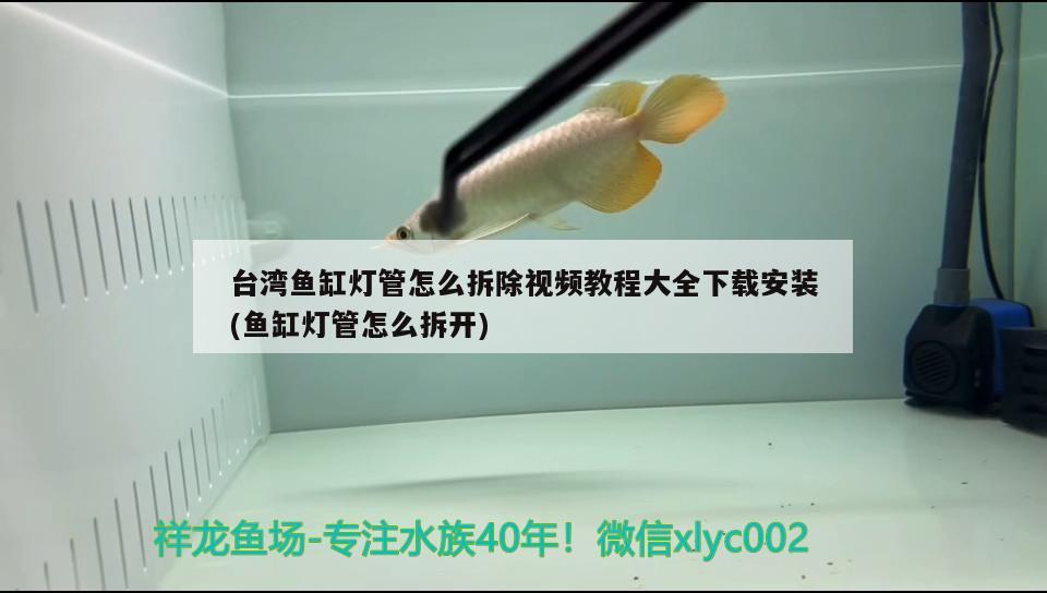 台湾鱼缸灯管怎么拆除视频教程大全下载安装(鱼缸灯管怎么拆开)