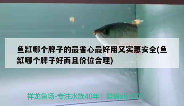 鱼缸哪个牌子的最省心最好用又实惠安全(鱼缸哪个牌子好而且价位合理) 银河星钻鱼