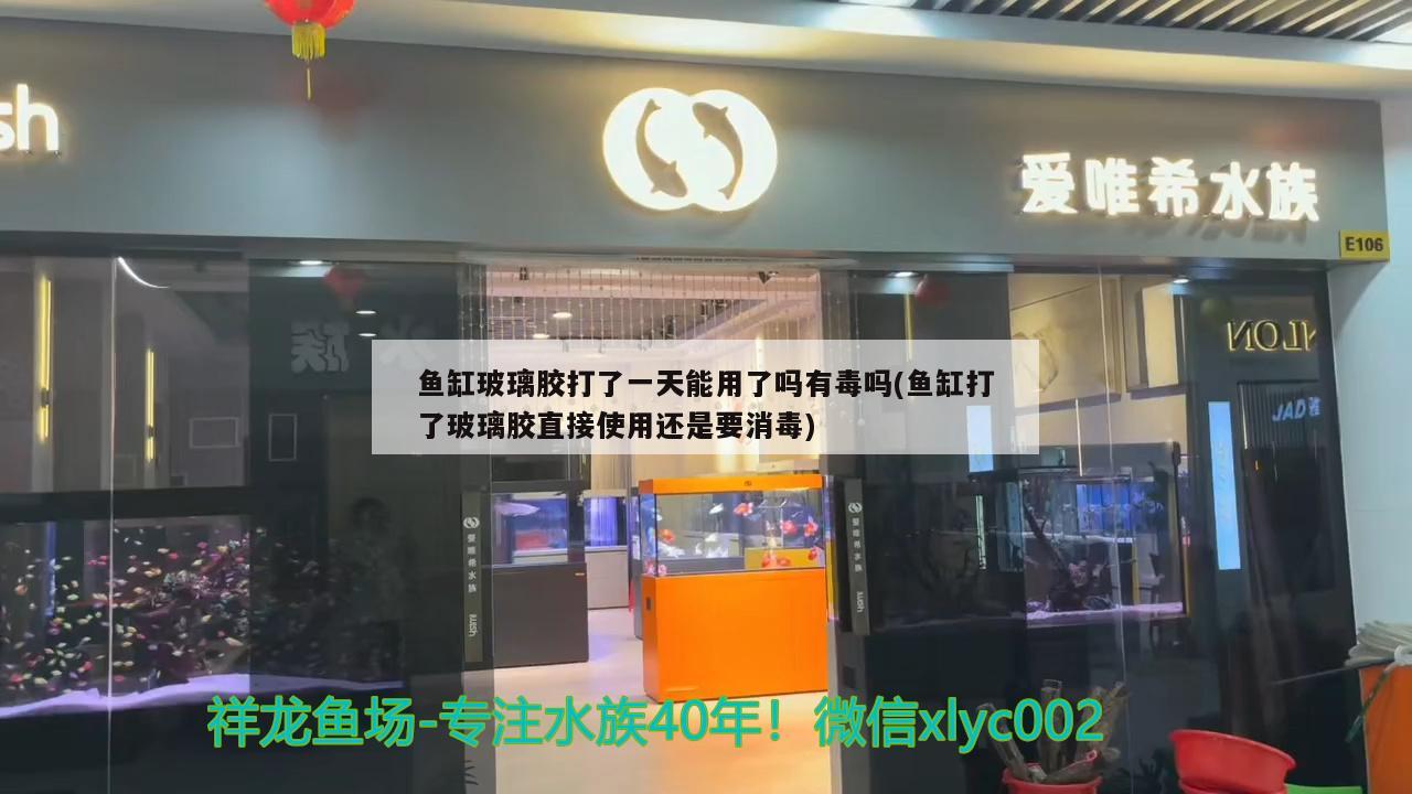 鱼缸玻璃胶打了一天能用了吗有毒吗(鱼缸打了玻璃胶直接使用还是要消毒)