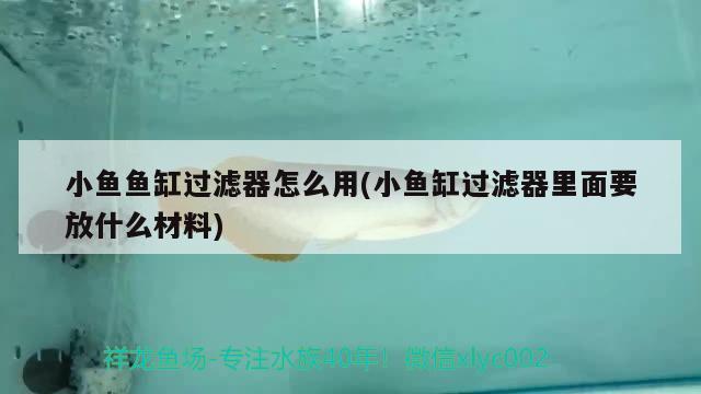 小鱼鱼缸过滤器怎么用(小鱼缸过滤器里面要放什么材料) 哥伦比亚巨暴鱼苗