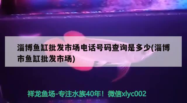 淄博鱼缸批发市场电话号码查询是多少(淄博市鱼缸批发市场)