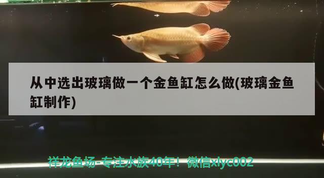 从中选出玻璃做一个金鱼缸怎么做(玻璃金鱼缸制作) 魟鱼百科