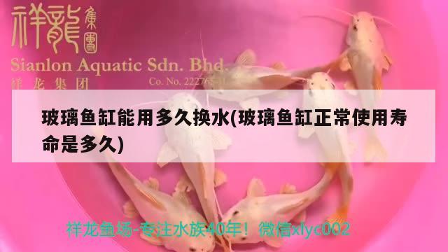 玻璃鱼缸能用多久换水(玻璃鱼缸正常使用寿命是多久)