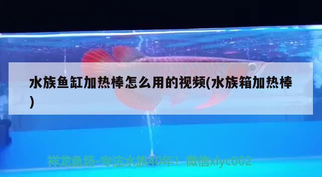 水族鱼缸加热棒怎么用的视频(水族箱加热棒) 鱼缸/水族箱