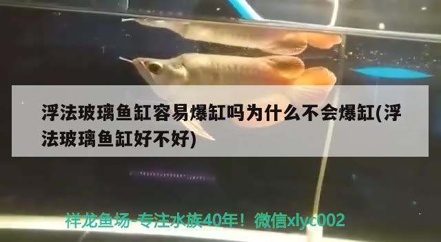 浮法玻璃鱼缸容易爆缸吗为什么不会爆缸(浮法玻璃鱼缸好不好)