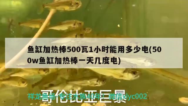 鱼缸加热棒500瓦1小时能用多少电(500w鱼缸加热棒一天几度电)