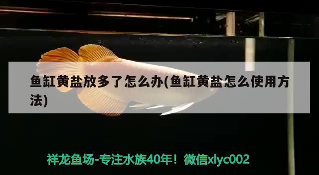 鱼缸黄盐放多了怎么办(鱼缸黄盐怎么使用方法) 鸭嘴鲨鱼