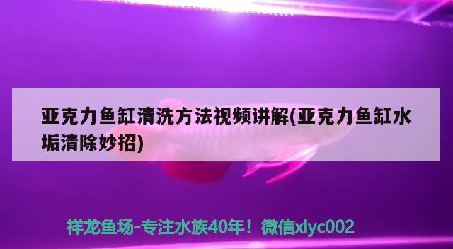 亚克力鱼缸清洗方法视频讲解(亚克力鱼缸水垢清除妙招) 祥龙鱼场其他产品