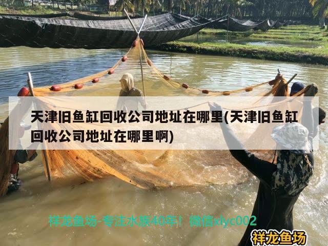 天津旧鱼缸回收公司地址在哪里(天津旧鱼缸回收公司地址在哪里啊) 观赏虾蟹等饲料