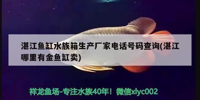 湛江鱼缸水族箱生产厂家电话号码查询(湛江哪里有金鱼缸卖)