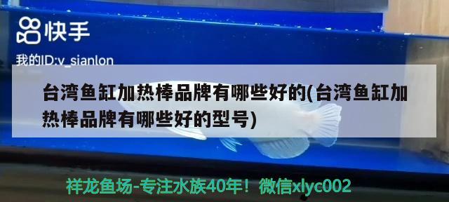 台湾鱼缸加热棒品牌有哪些好的(台湾鱼缸加热棒品牌有哪些好的型号)