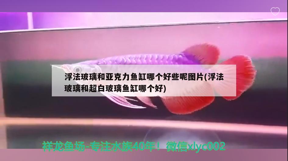 浮法玻璃和亚克力鱼缸哪个好些呢图片(浮法玻璃和超白玻璃鱼缸哪个好)