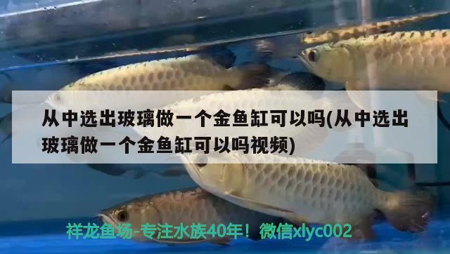 从中选出玻璃做一个金鱼缸可以吗(从中选出玻璃做一个金鱼缸可以吗视频)