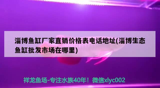 淄博鱼缸厂家直销价格表电话地址(淄博生态鱼缸批发市场在哪里)