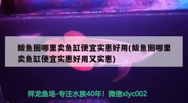 鲅鱼圈哪里卖鱼缸便宜实惠好用(鲅鱼圈哪里卖鱼缸便宜实惠好用又实惠) 红头利鱼