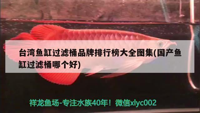 台湾鱼缸过滤桶品牌排行榜大全图集(国产鱼缸过滤桶哪个好) 水族世界 第1张