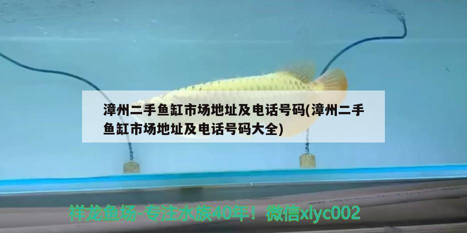 漳州二手鱼缸市场地址及电话号码(漳州二手鱼缸市场地址及电话号码大全) 申古三间鱼