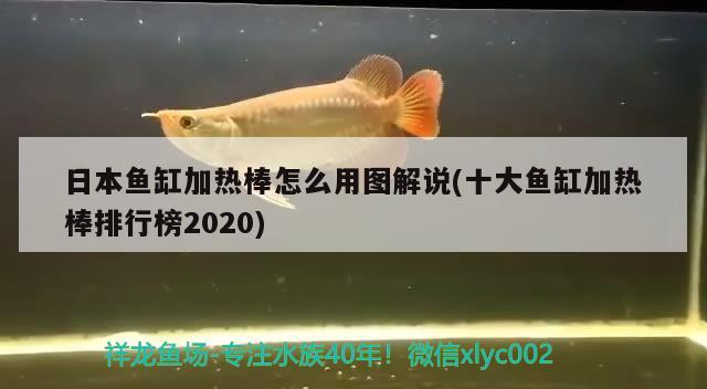 日本鱼缸加热棒怎么用图解说(十大鱼缸加热棒排行榜2020)