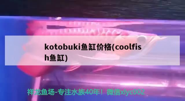 kotobuki鱼缸价格(coolfish鱼缸)