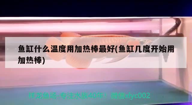 鱼缸什么温度用加热棒最好(鱼缸几度开始用加热棒)