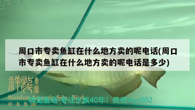 周口市专卖鱼缸在什么地方卖的呢电话(周口市专卖鱼缸在什么地方卖的呢电话是多少)