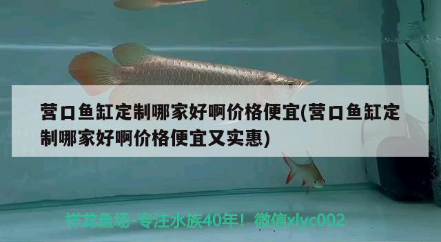 营口鱼缸定制哪家好啊价格便宜(营口鱼缸定制哪家好啊价格便宜又实惠) 祥龙蓝珀金龙鱼