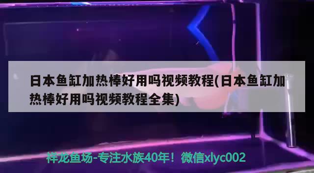 日本鱼缸加热棒好用吗视频教程(日本鱼缸加热棒好用吗视频教程全集)