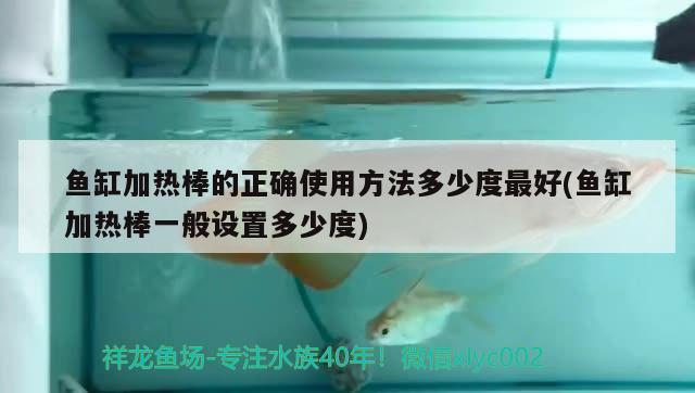 鱼缸加热棒的正确使用方法多少度最好(鱼缸加热棒一般设置多少度) 祥龙鱼场其他产品