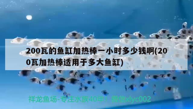 200瓦的鱼缸加热棒一小时多少钱啊(200瓦加热棒适用于多大鱼缸) 祥龙超血红龙鱼