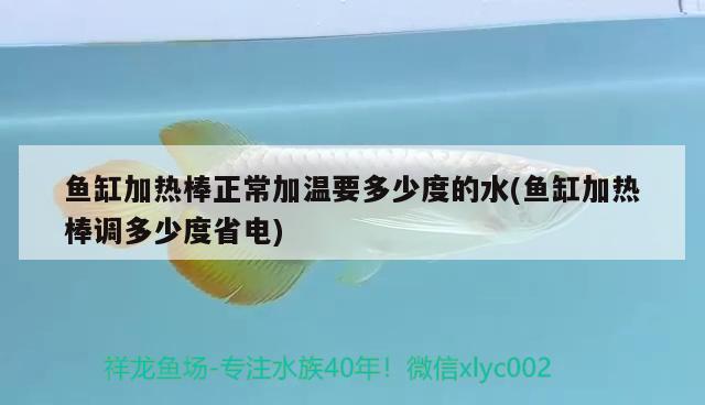 鱼缸加热棒正常加温要多少度的水(鱼缸加热棒调多少度省电) 养鱼知识