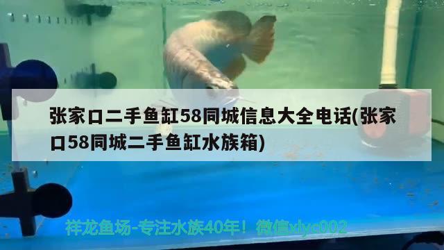 张家口二手鱼缸58同城信息大全电话(张家口58同城二手鱼缸水族箱) 鱼缸/水族箱