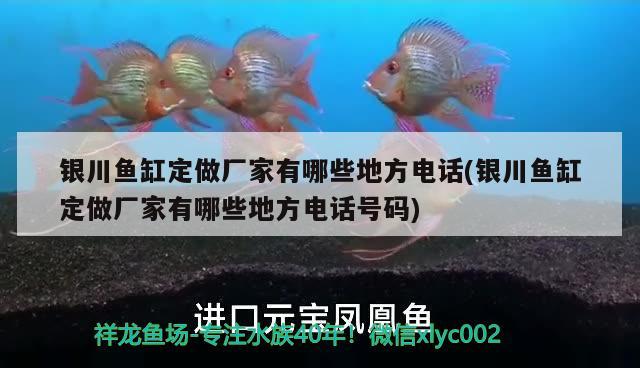 银川鱼缸定做厂家有哪些地方电话(银川鱼缸定做厂家有哪些地方电话号码)