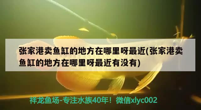 张家港卖鱼缸的地方在哪里呀最近(张家港卖鱼缸的地方在哪里呀最近有没有)