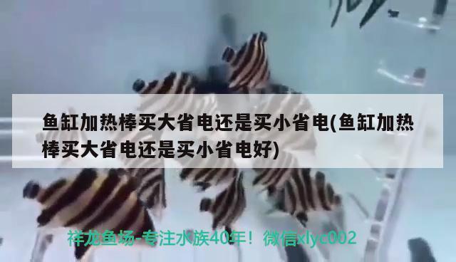 鱼缸加热棒买大省电还是买小省电(鱼缸加热棒买大省电还是买小省电好) 鱼缸百科