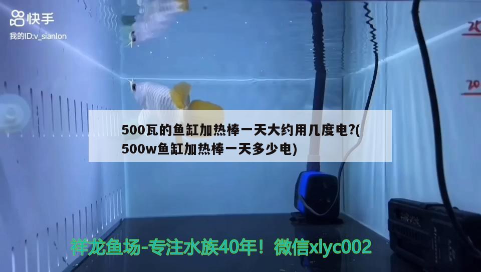 500瓦的鱼缸加热棒一天大约用几度电?(500w鱼缸加热棒一天多少电)