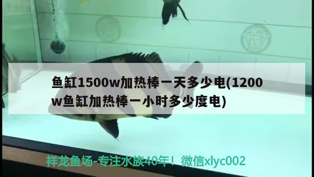 鱼缸1500w加热棒一天多少电(1200w鱼缸加热棒一小时多少度电)