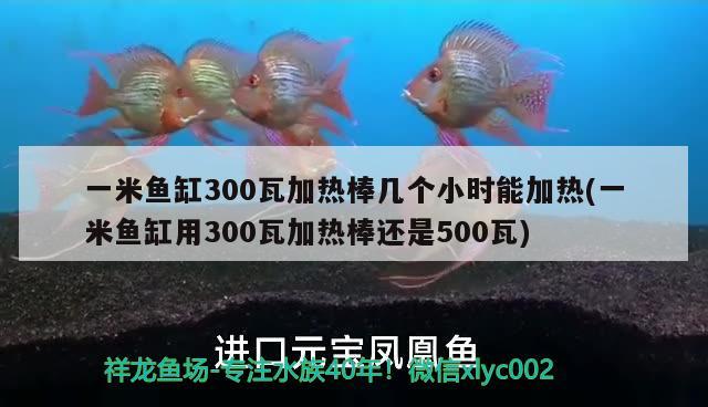 一米鱼缸300瓦加热棒几个小时能加热(一米鱼缸用300瓦加热棒还是500瓦)