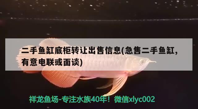 二手鱼缸底柜转让出售信息(急售二手鱼缸,有意电联或面谈) 热带鱼鱼苗批发