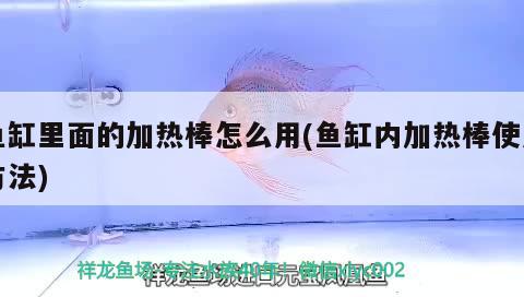 鱼缸里面的加热棒怎么用(鱼缸内加热棒使用方法) 祥龙传奇品牌鱼缸